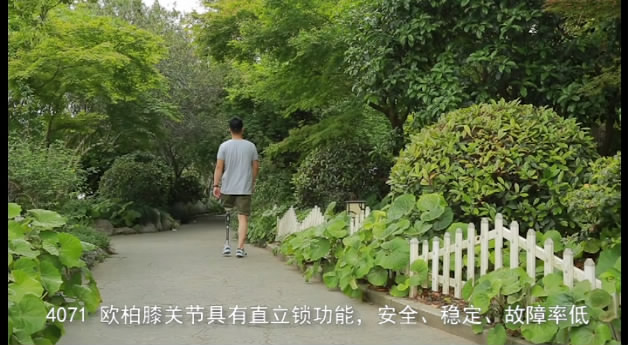 TK-4071欧柏膝关节（合金铸造）